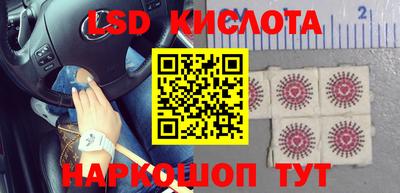 эйфоретик Кингисепп